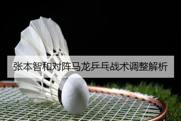张本智和对阵马龙乒乓战术调整解析